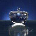 /album/fotogalerij-kriystal-printen/rg503-press-papier-presse-glas-kunst-relatiegeschenk2-jpg/
